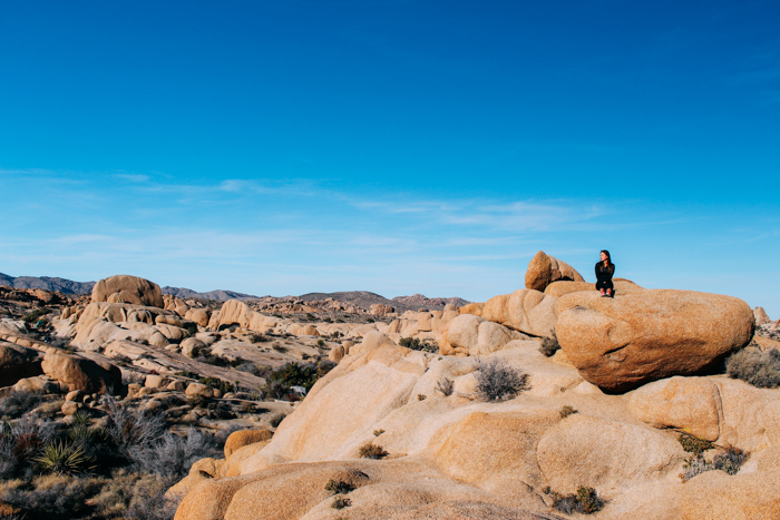 Joshua Tree National Park on Anything For The Crown