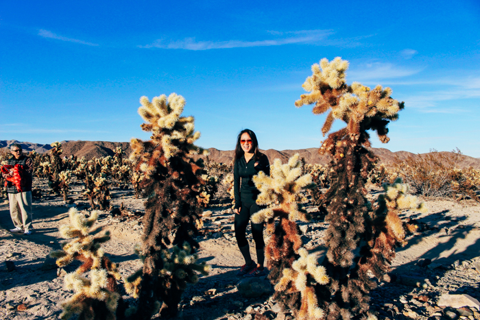 Joshua Tree National Park on Anything For The Crown
