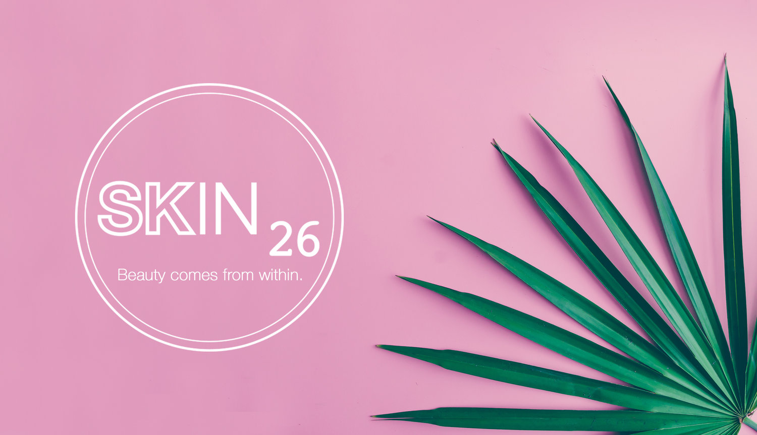 lotus forvisning Investere Skincare — Skin26 Limerick
