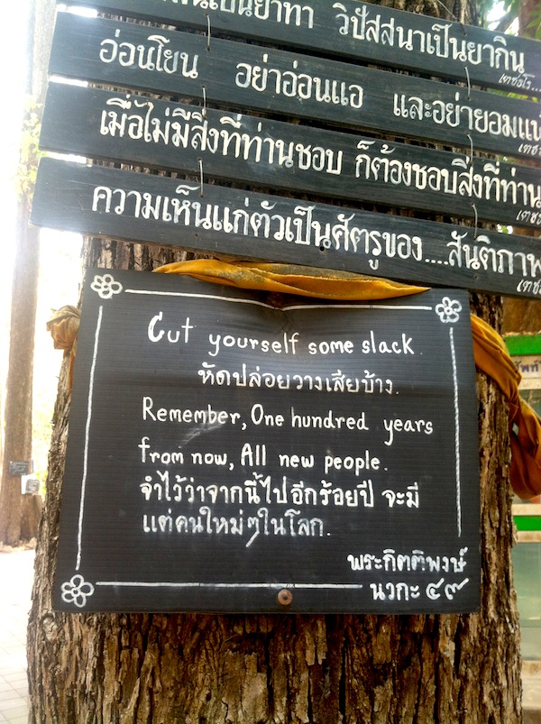 Wat Umong's Talking Trees: "Cut yourself some slack. Remember, 100 years from now, All new people."