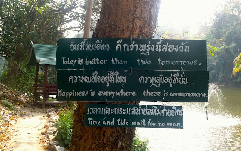 Wat Umong's Talking Trees: "Today is better than two tomorrows."