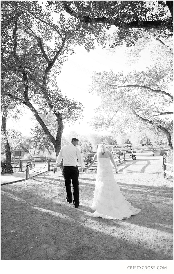 Krystal and Andy's Outdoor New Mexico Wedding at Hyatt Regency Tamaya Resort taken by Wedding Photographer Cristy Cross__0026.jpg