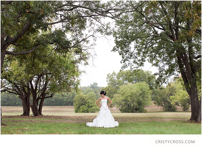 Megan and Kyle's Backyard Texas Wedding taken by Clovis Wedding Photographer Cristy Cross_0223.jpg