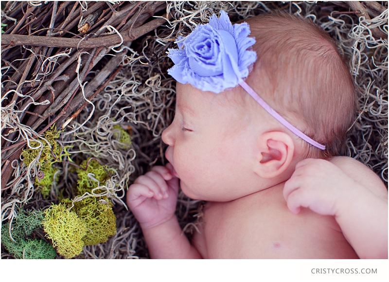 The Carter's Newborn and Family Lifestyle Clovis, New Mexico Shoot taken by Clovis Portrait Photographer Cristy Cross_0220.jpg