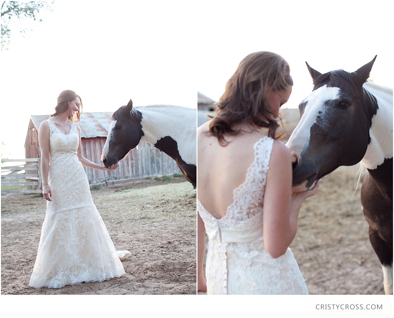 Emily's Not So Tomboy Bridal Shoot taken by Wedding Photographer Cristy Cross_0017.jpg