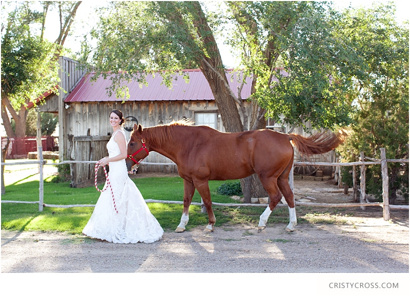 Emily's Not So Tomboy Bridal Shoot taken by Wedding Photographer Cristy Cross_0025.jpg