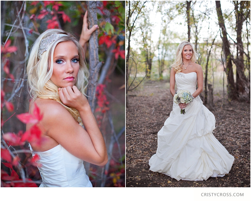 Courtney's Elegant Sunday Bridal Shoot taken by Clovis Wedding Photographer Cristy Cross_0008.jpg