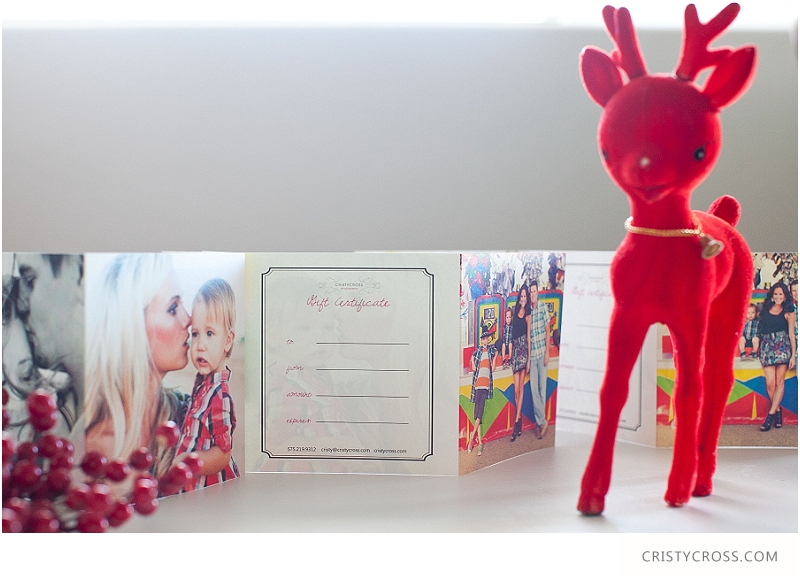 Christmas Gift, Gift Certificate by Cristy Cross Photography_0009.jpg