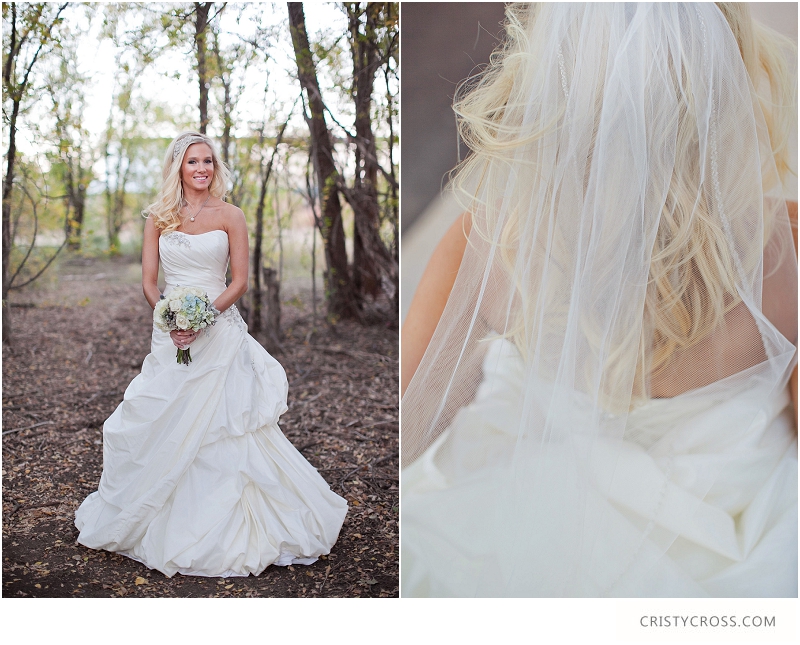 Courntey's Blue and White Bridal Shoot taken by Clovis Wedding Photographer Cristy Cross_0034.jpg