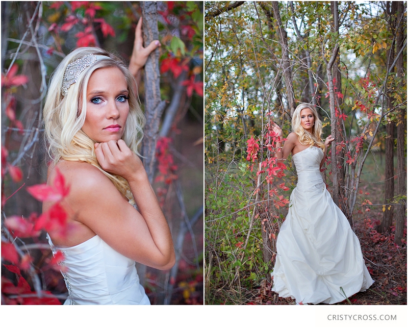 Courntey's Blue and White Bridal Shoot taken by Clovis Wedding Photographer Cristy Cross_0035.jpg