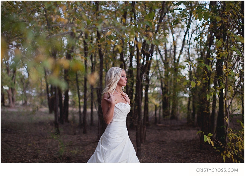 Courntey's Blue and White Bridal Shoot taken by Clovis Wedding Photographer Cristy Cross_0036.jpg