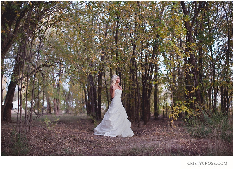 Courntey's Blue and White Bridal Shoot taken by Clovis Wedding Photographer Cristy Cross_0037.jpg