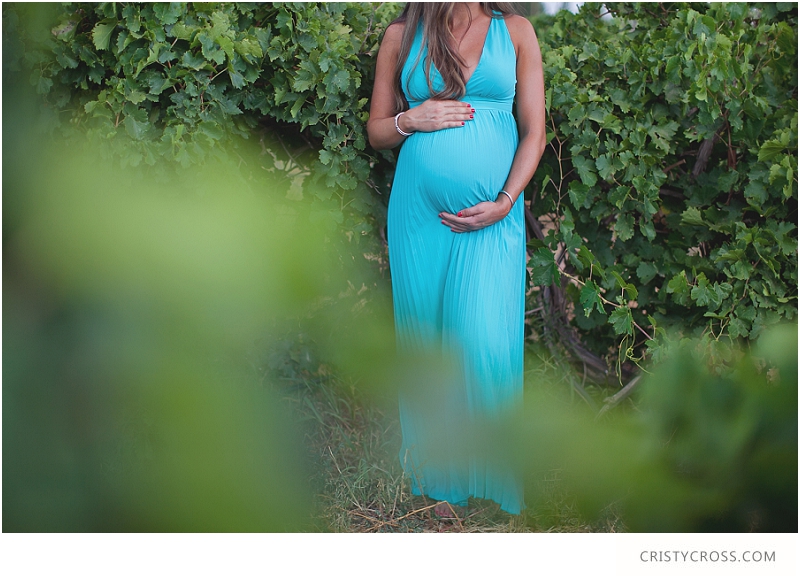 Barbara's Vineyard Midland, Texas Maternity Shoot taken by Clovis Portrait Photographer Cristy Cross_0001.jpg