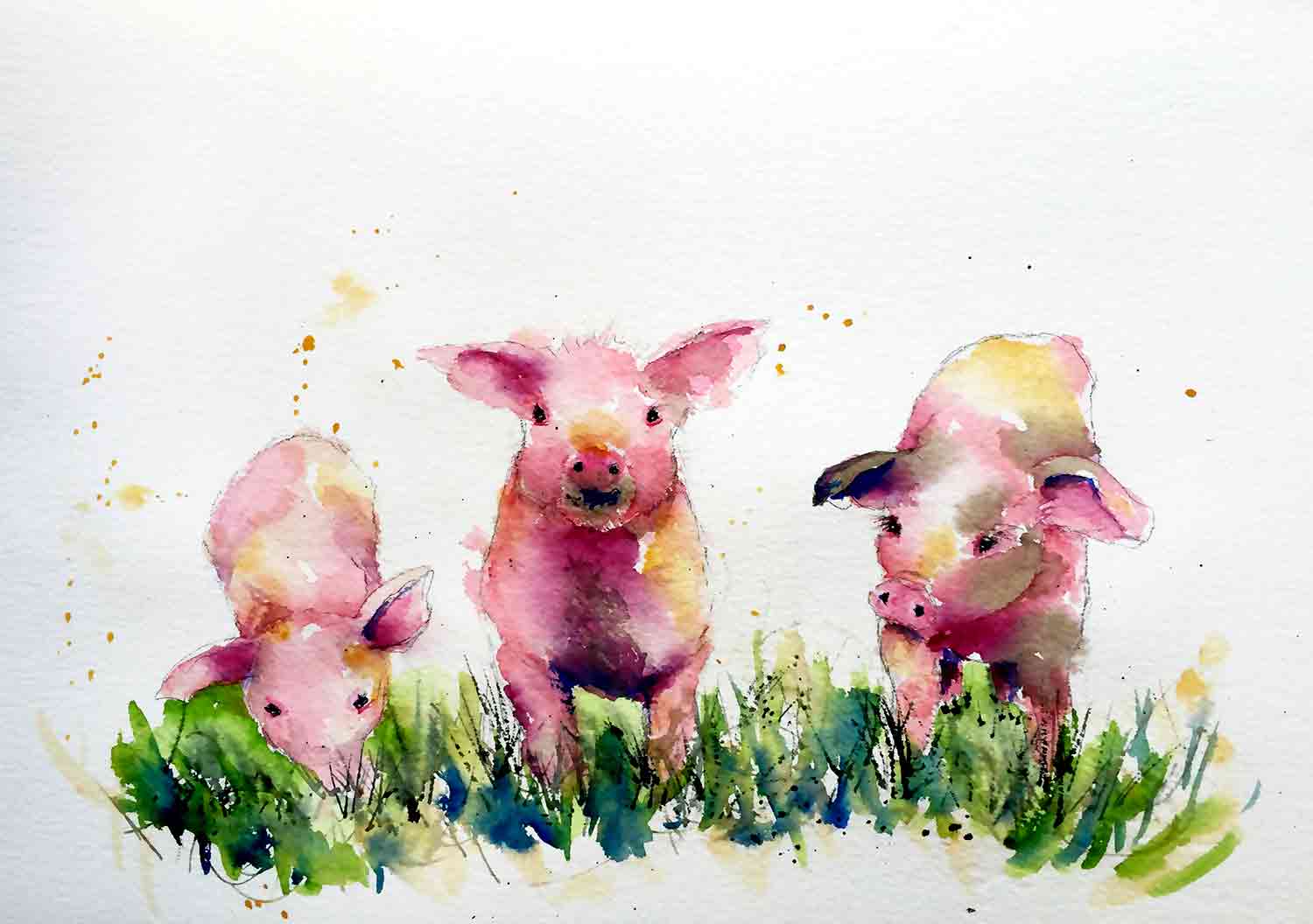 Painting farm animals with spirit (and watercolour) — Kerrie Woodhouse