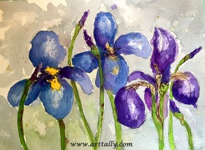 quick tips to improve the vase life of irises