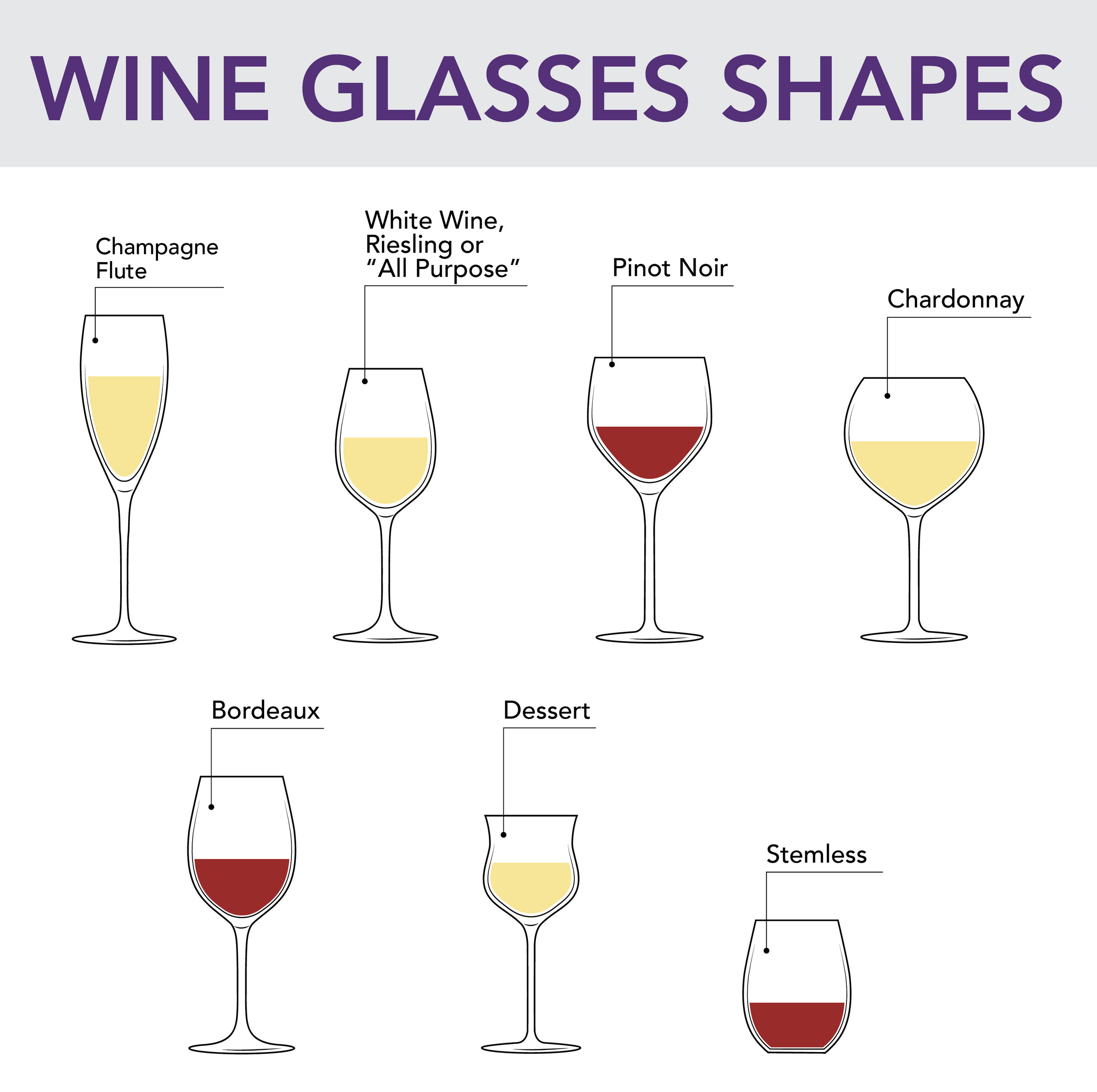 Wine Glasses: Shapes, Stems, Cleaning, and Care - From The Vine