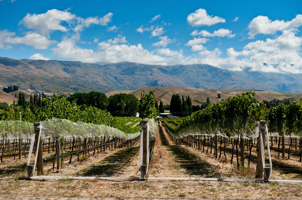 The Wild Beauty of Central Otago in New Zealand