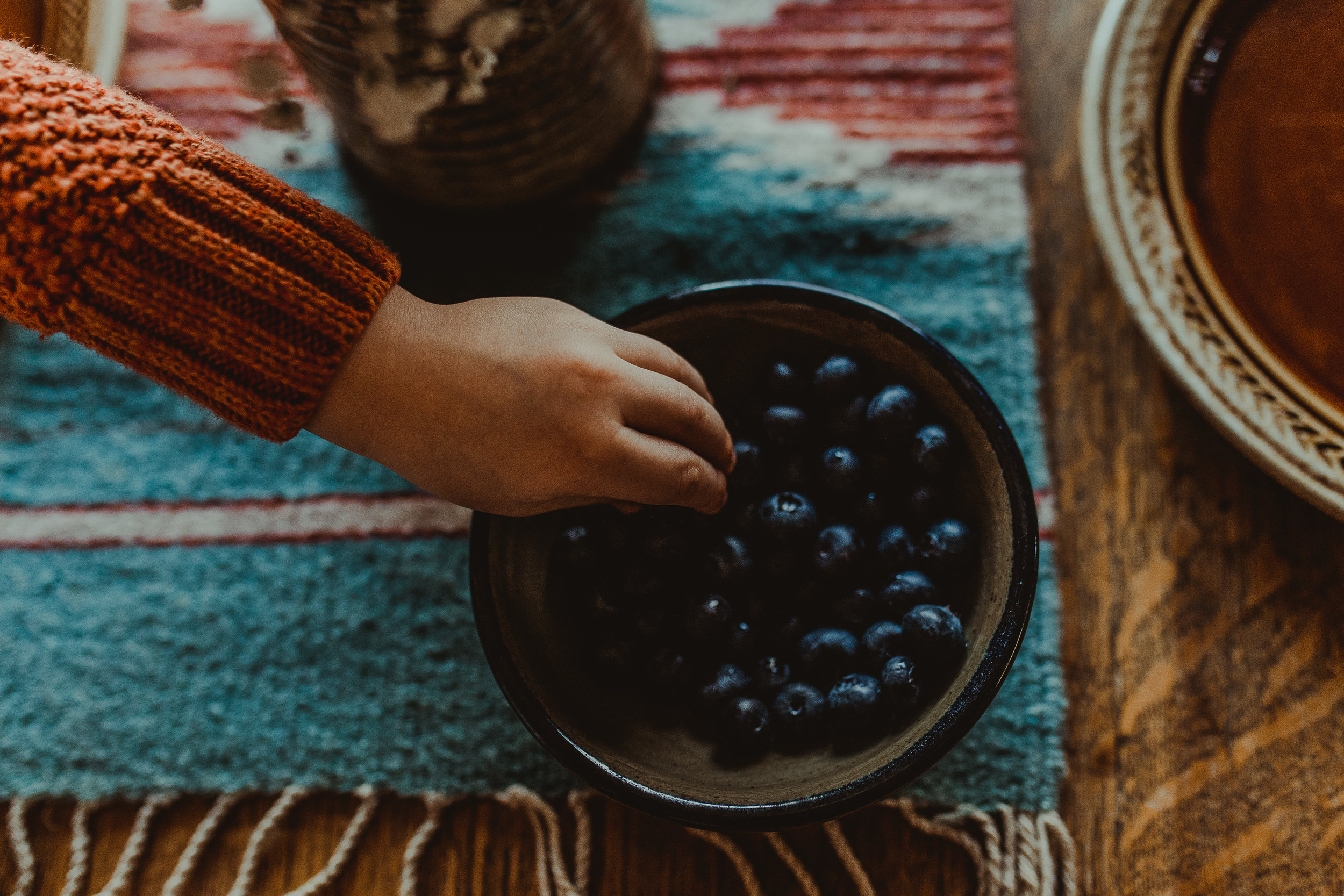  Toddler grabs blueberries in Ashland Oregon home 