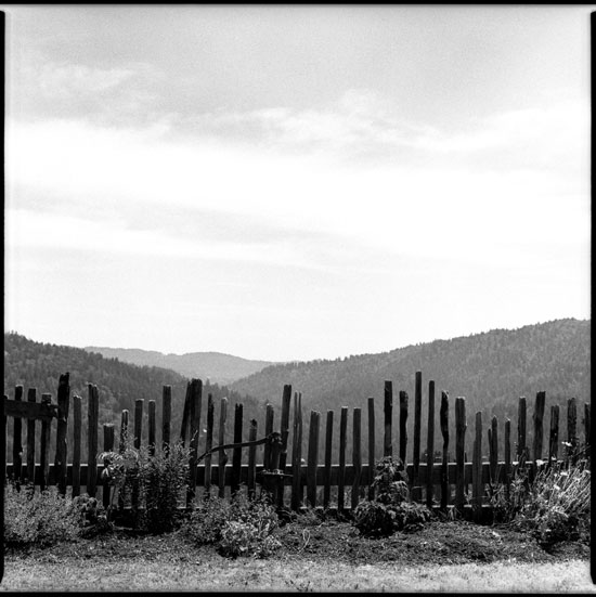 660075_12 black and white photograph cazadero california 2012