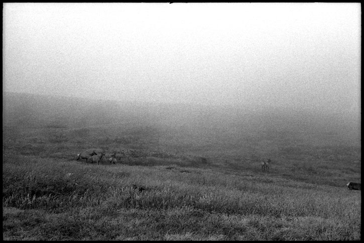 0231_22A black and white photograph point reyes california, 2012