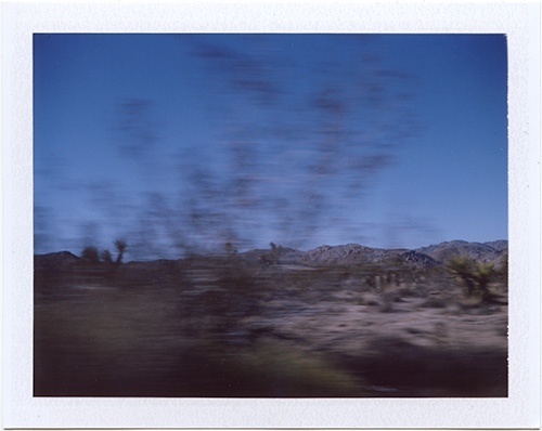 polaroid #p20130121_01 Joshua Tree, California