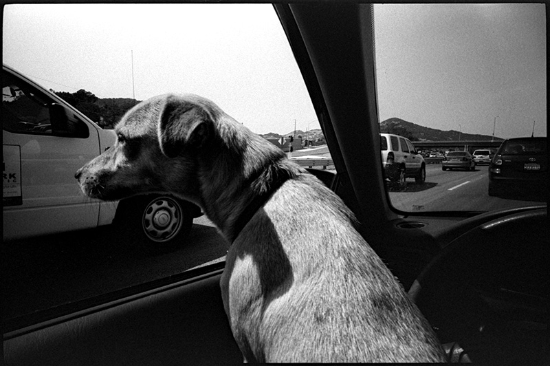 0268_02A black and white photograph, bay area california