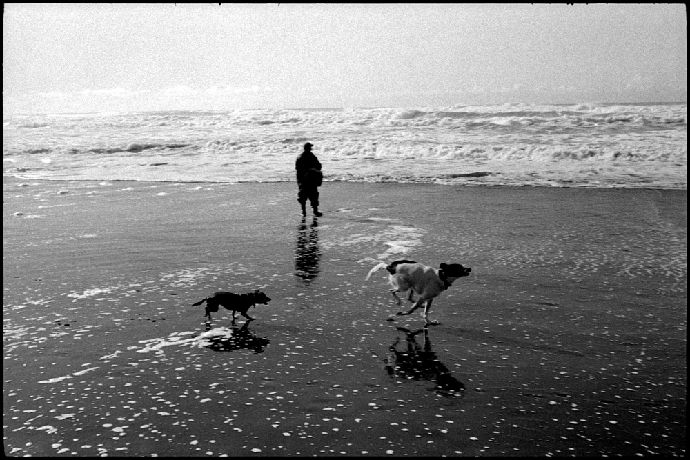 0419_28A Dogs, Ocean Beach, San Francisco