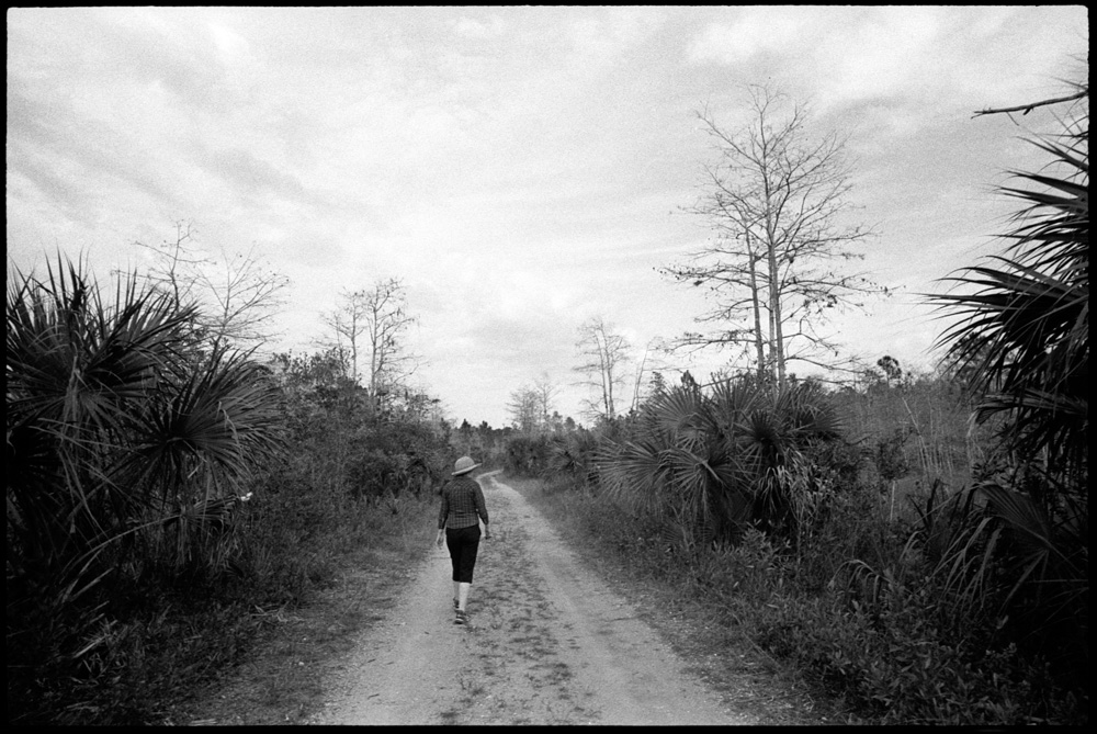 0422_27A Big Cypress, Florida