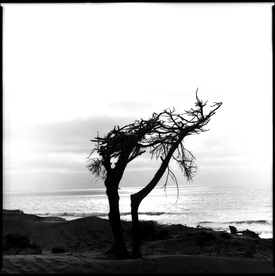 Black and White Photograph: Ocean Beach, San Francisco, Ca. 2010