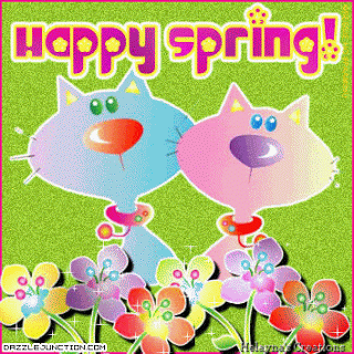 Image result for happy spring cat gifs
