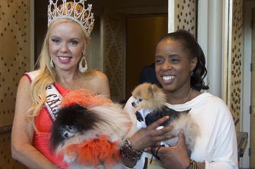 Ms. California and her doggie celebrities pose with Kimberly Gauthier of Keep the Tail Waggin'
