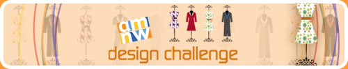 AMNW-Design-Challenge-500x100