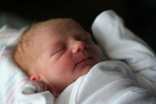 Veda :: Newborn