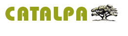 Catalpa Home and Garden Design