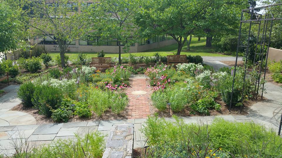 Landscape Ideas For Sprawling Westchester County Backyards