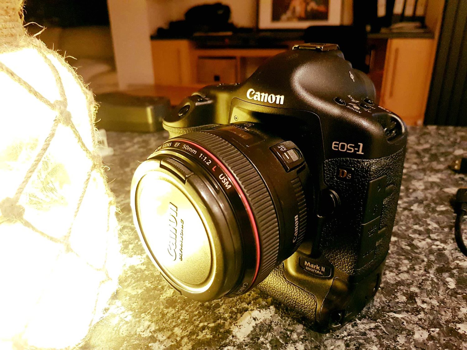 Canon 1Ds Mark II   old camera, new owner — Nick English Photography