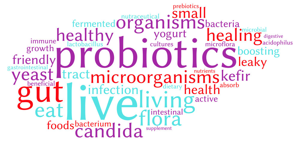Part 1: How To Choose a Probiotic & My Trusted Brands