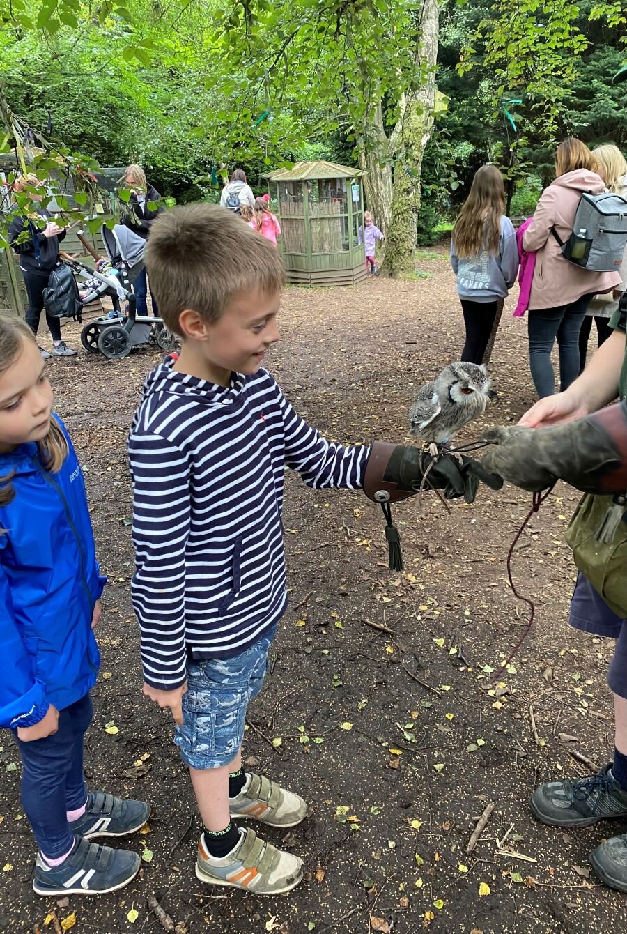 A Review of Willows Birds of Prey Centre, Kent