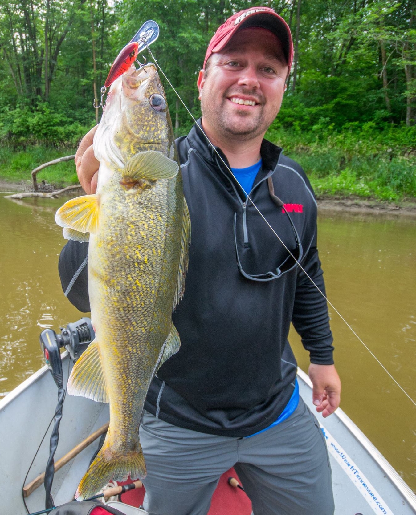 High speed line-counters are a thing! – Target Walleye