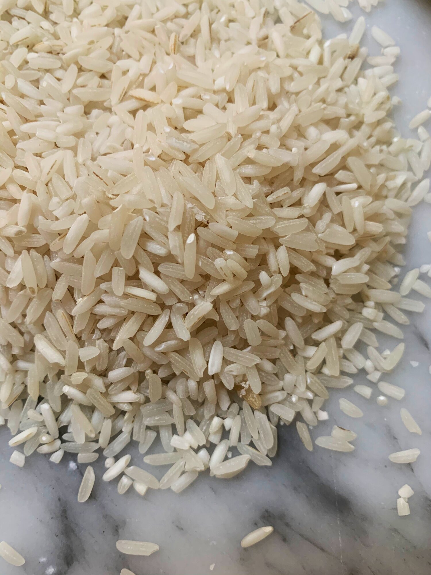 The Culture Of Cooking Rice The Role Of Rice In Millennials Lives Edible Boston