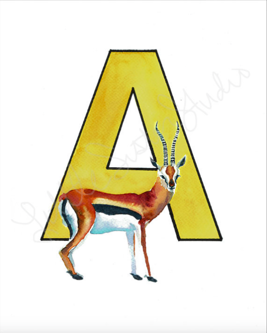 A is for Antelope