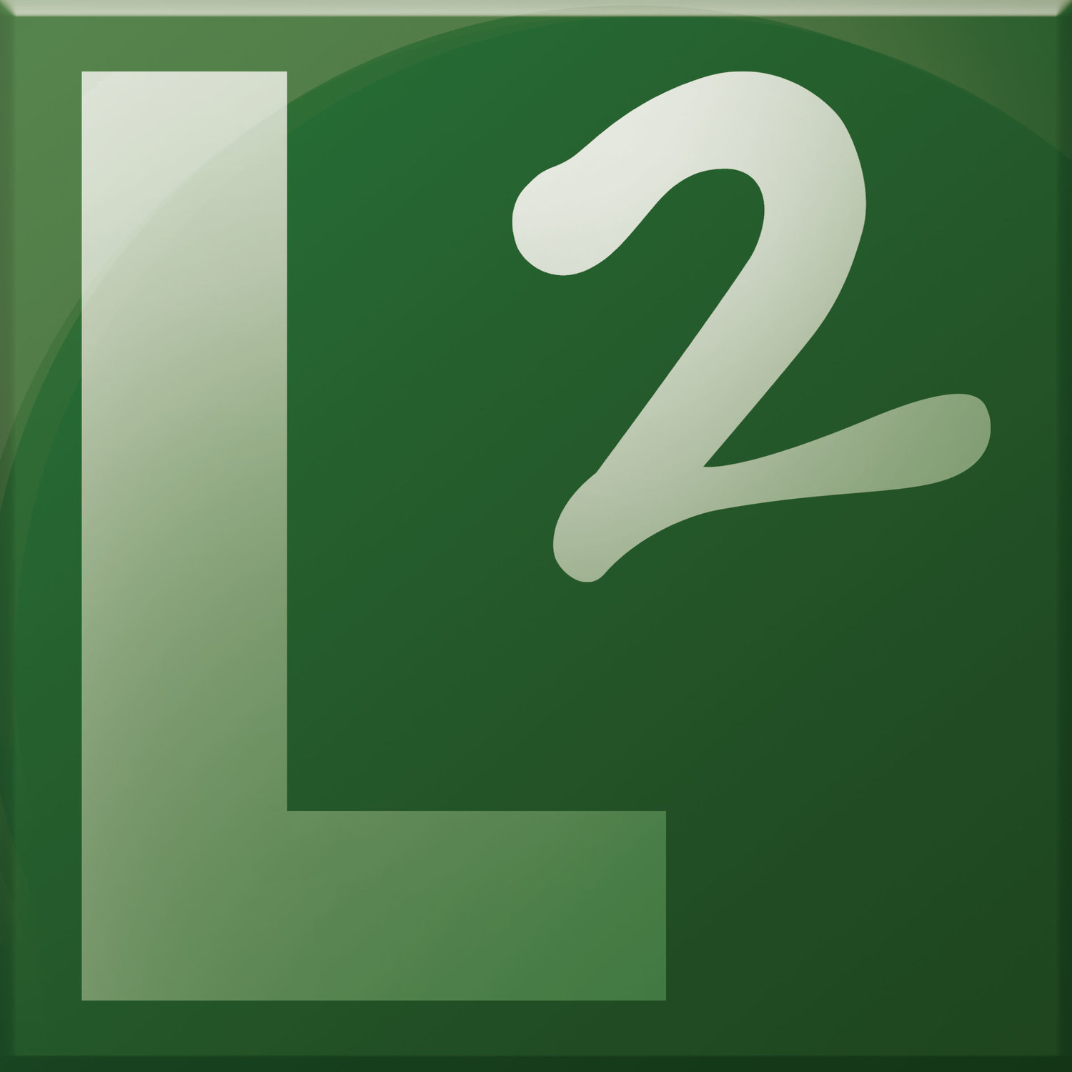 L 2 Systems