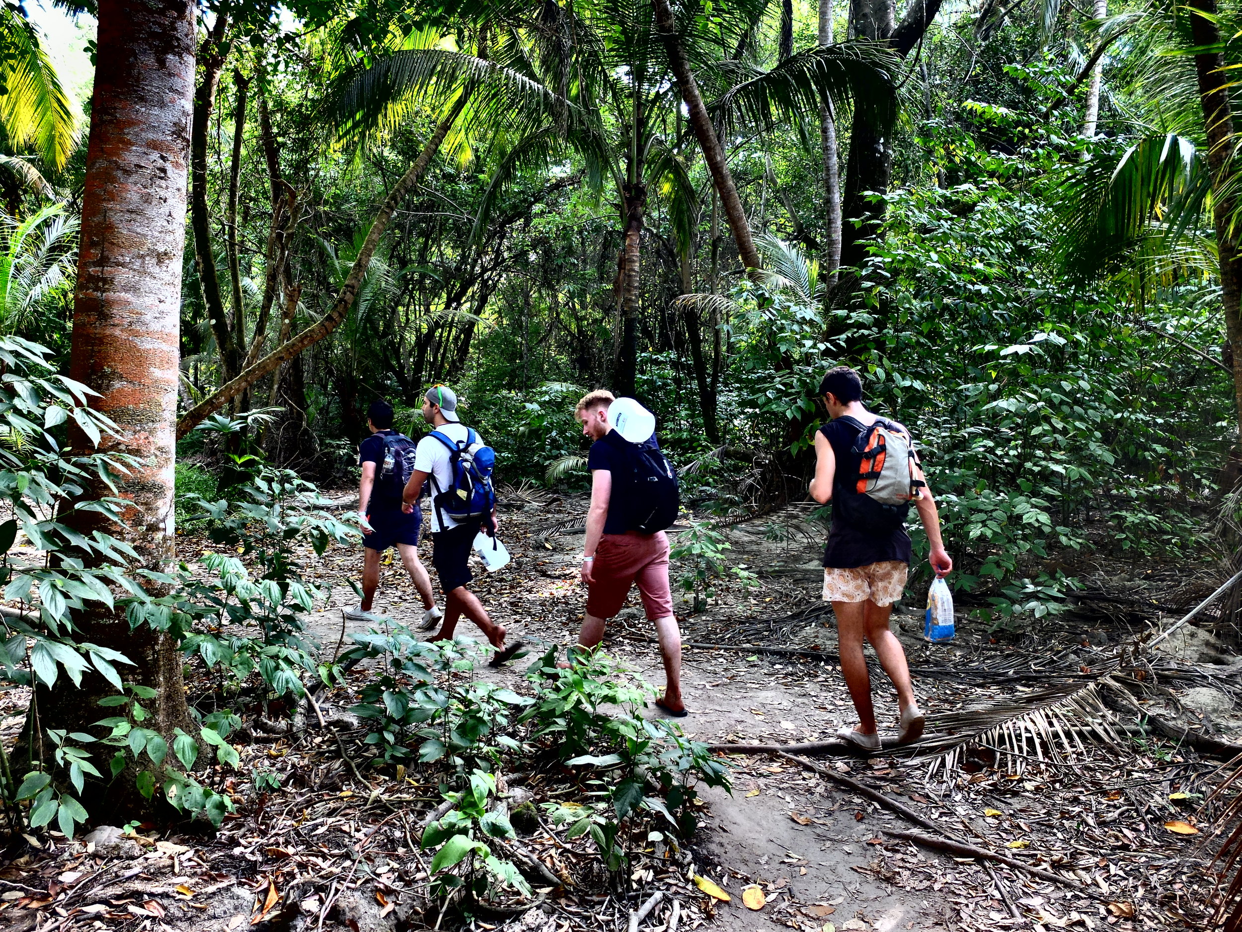 The crew trekking through the jungle