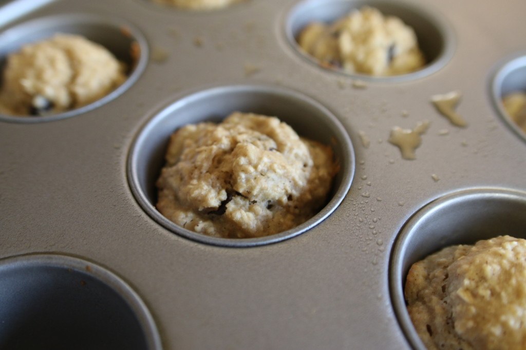 Fluffy Chocolate Chip Muffins via ahealthfulheart.com - Made with sour cream!