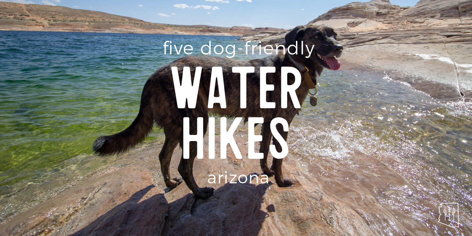 5 Dog-Friendly Water Hikes in Arizona — Arizona Hikers Guide