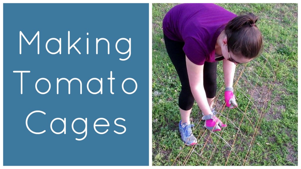 Making Tomato Cages