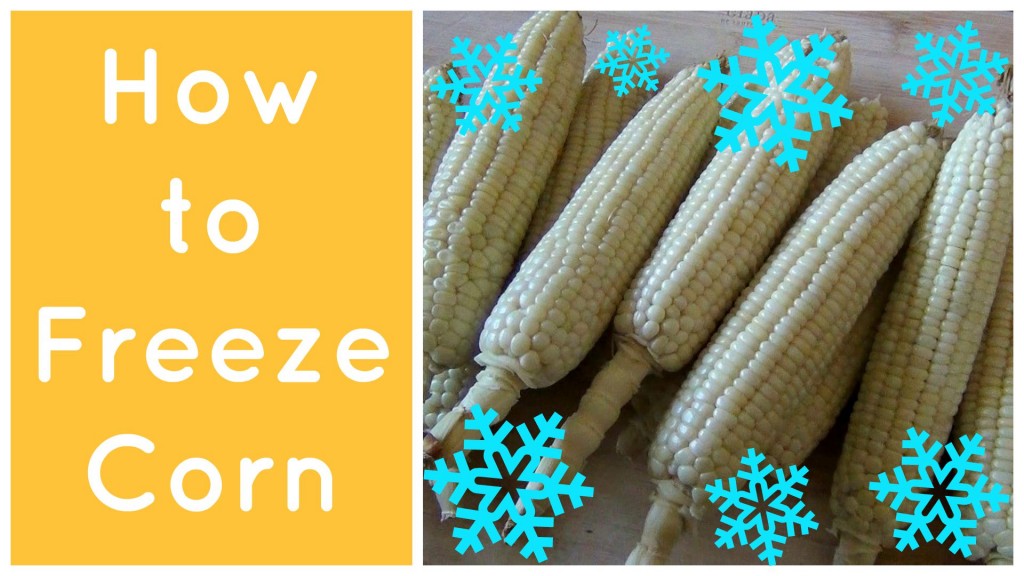 how to freeze corn