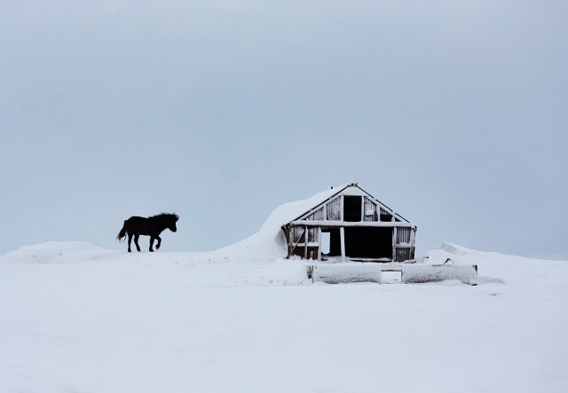Barn and horse at Hella in Iceland