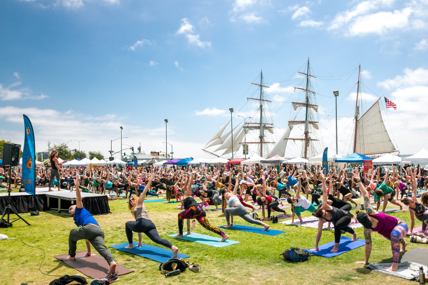 Festival of Yoga & Healthy Living — About the Festival
