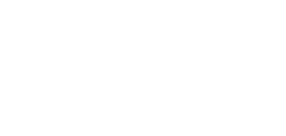 Interactive Artists Bling Entertainment And Events